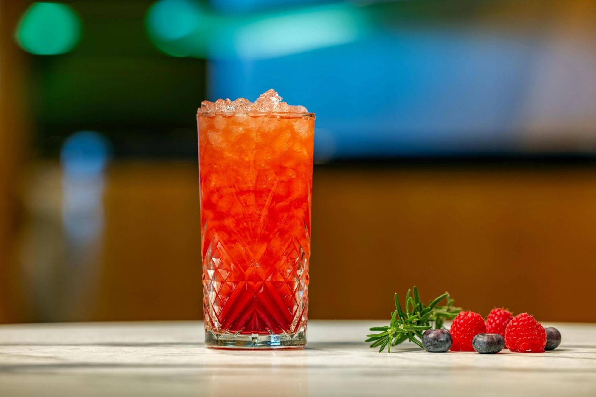 Sheraton Paris Charles De Gaulle Airport Hotel